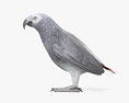 Papagaio-cinzento Modelo 3d
