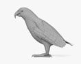 African Grey Parrot 3d model