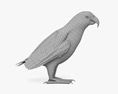 Папуга сірий 3D модель