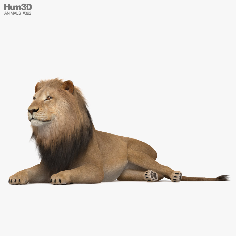 Lying Lion 3D model