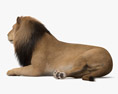 躺着的狮子 3D模型