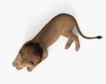 Liegender Löwe 3D-Modell
