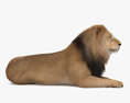 Lion couché Modèle 3d