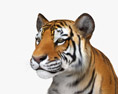 Sitting Tiger 3D модель