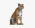 Sitting Tiger 3Dモデル