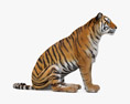 Sitting Tiger Modello 3D