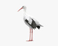 White Stork 3d model