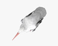 Cicogna bianca Modello 3D