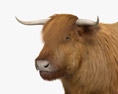 Highland Cattle 3D-Modell