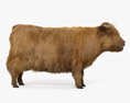 Highland Cattle Modèle 3d