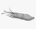 Histioteuthis (Cock-eyed squid) 3d model