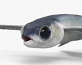 Летучая рыба 3D модель