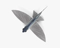 Летучая рыба 3D модель