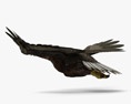 Golden Eagle Flying 3d model