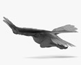 Águia-real voadora Modelo 3d