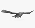 Águia-real voadora Modelo 3d