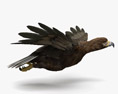 Golden Eagle Flying 3d model