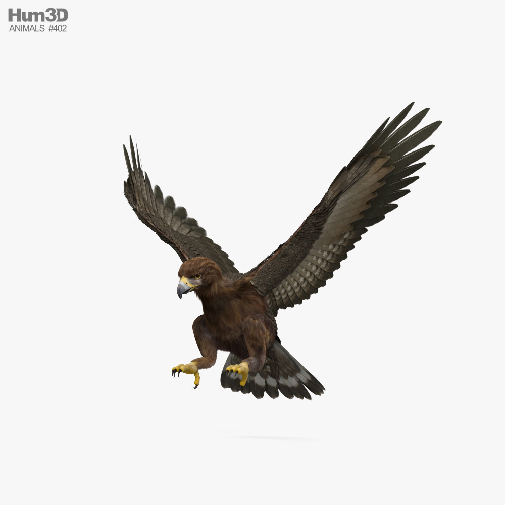 Águila real atacante Modelo 3D