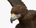Aquila reale all'attacco Modello 3D