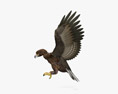 황금 독수리를 공격 3D 모델 