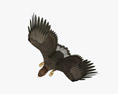 황금 독수리를 공격 3D 모델 