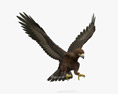 Golden Eagle Attacking 3d model