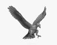 Aquila reale all'attacco Modello 3D
