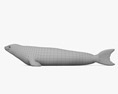 食蟹海豹 3D模型