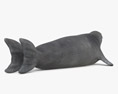 Тюлень-крабоед 3D модель