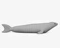 食蟹海豹 3D模型