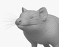 袋獾 3D模型