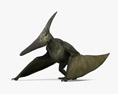Pteranodon 3D-Modell