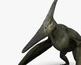 Pteranodon Modèle 3d