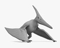Pteranodon Modello 3D