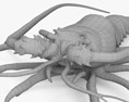 Aragosta spinosa Modello 3D