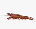 Spiny Lobster 3d model