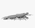 Aragosta spinosa Modello 3D
