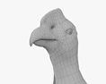安第斯神鹫 3D模型