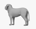 聖伯納犬 3D模型