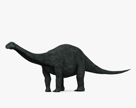 Apatosaurus 3D model