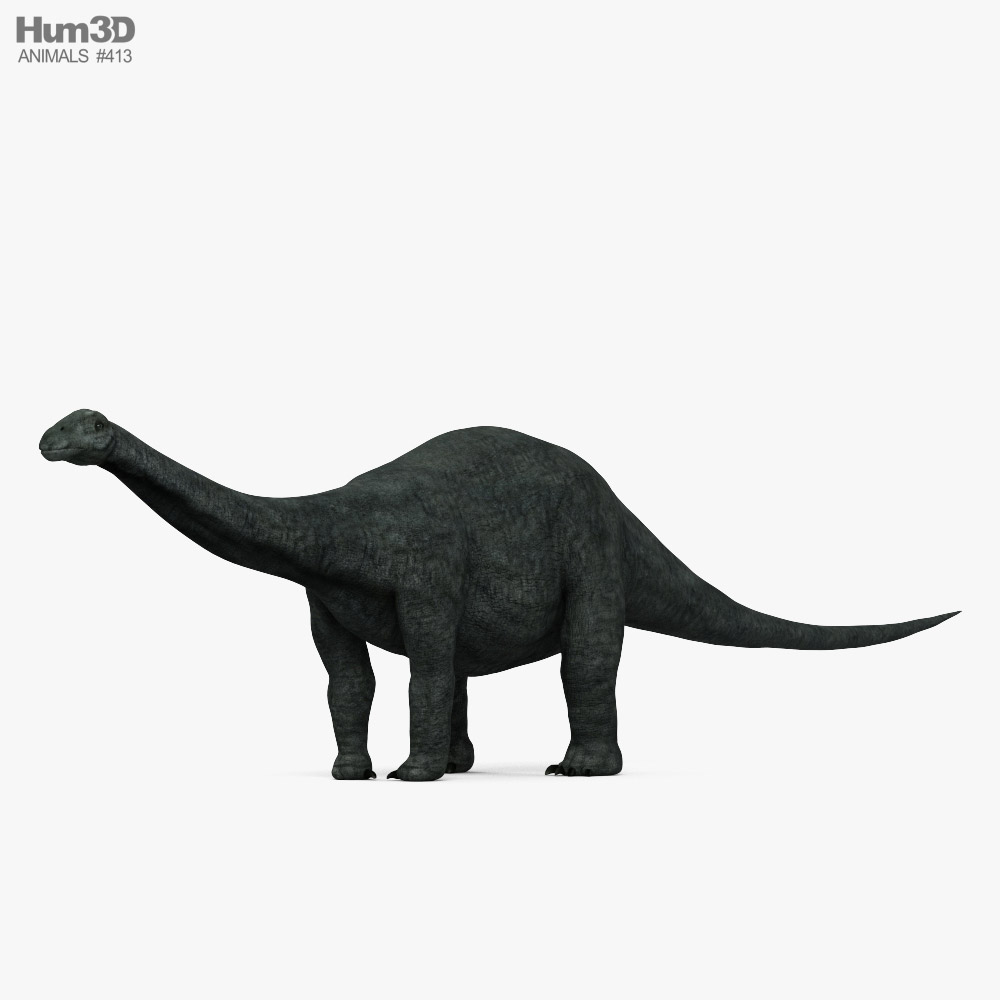 Apatosaurus 3D model