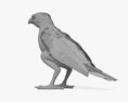 Falco pellegrino Modello 3D
