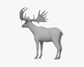 Irish Elk 3d model