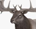 Irish Elk 3D-Modell