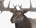 Irish Elk 3D 모델 