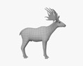 Irish Elk 3D 모델 