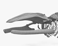 대왕 고래 해골 3D 모델 