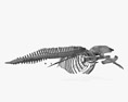 Esqueleto de ballena azul Modelo 3D