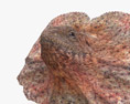 Clamidosaurio de King Modelo 3D
