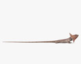 Clamidosaurio de King Modelo 3D